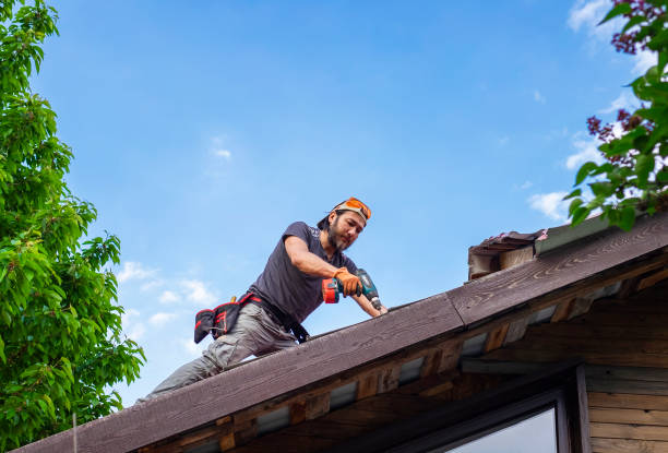 Best Roof Moss and Algae Removal  in Kgsford Heights, IN