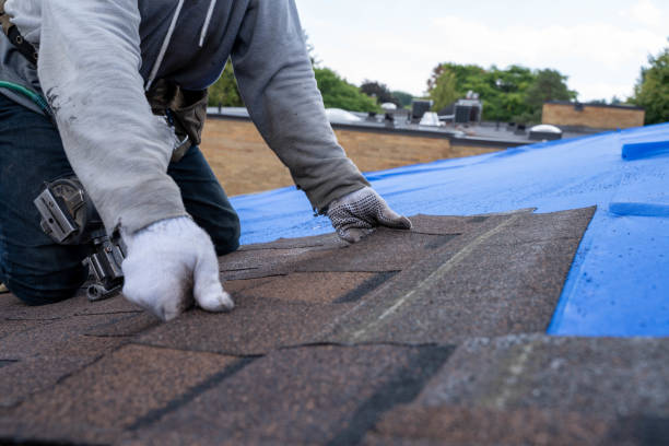 Best Storm Damage Roof Repair  in Kgsford Heights, IN